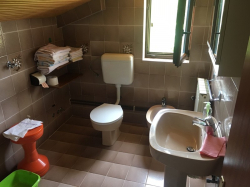 Apartamenty Apartmani Bencic Premantura