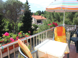 Apartamenty Villa Ivana Premantura