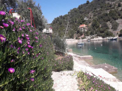 Apartamenty villa rosa Vela Luka (Wyspa Korčula)