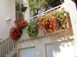 Apartamenty Mimosa Vodice