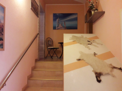 Apartments Vivien Kustici (Island Pag)